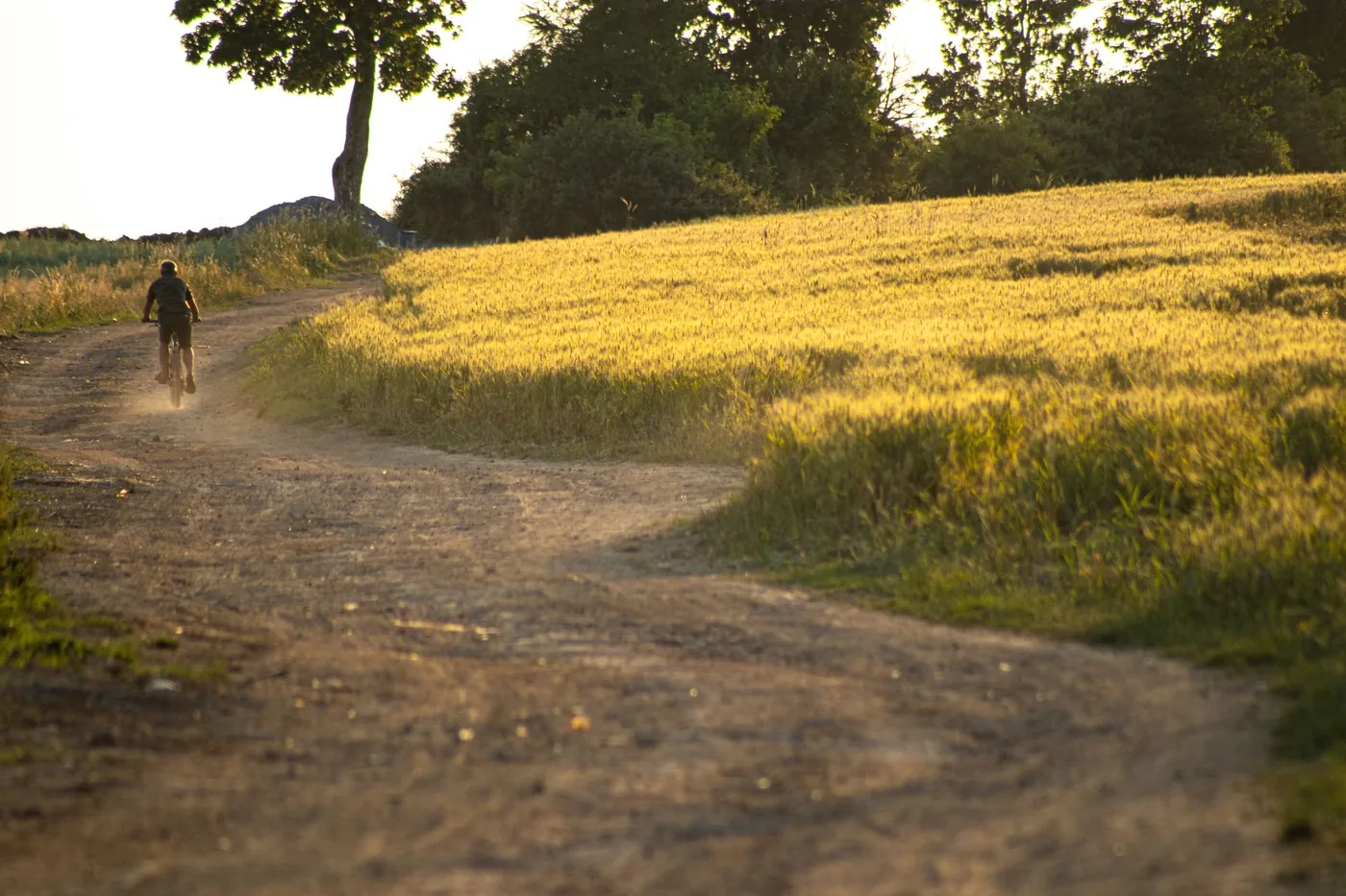 Cyklista na trase v letní krajině.