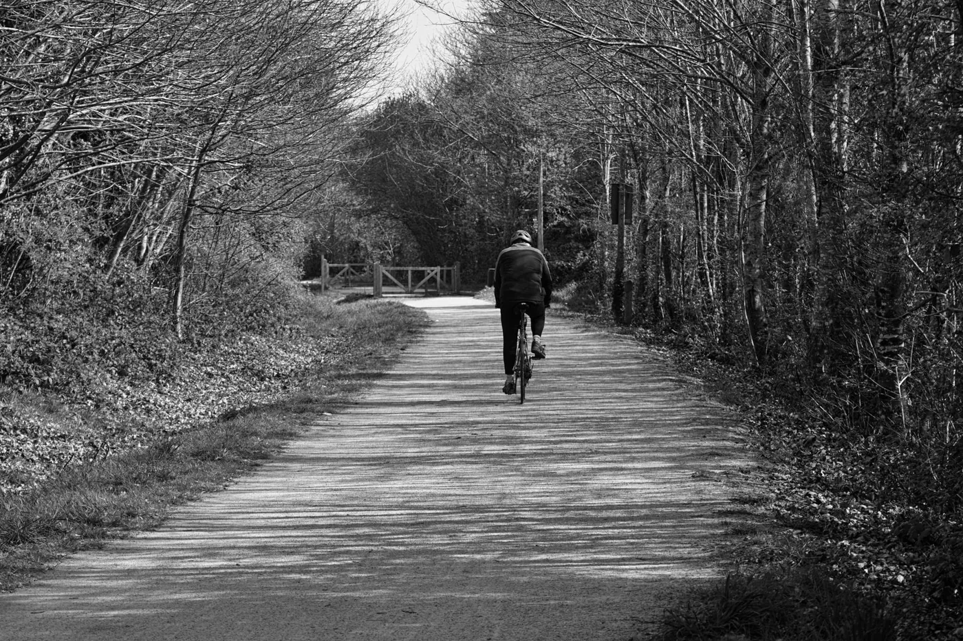Cyklistka na cestě podél řeky obklopené zelenou krajinou