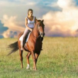 Rádi jezdíte na koni? Pořiďte si krásné a kvalitní vybavení za rozumné ceny