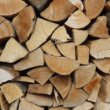 Topíte dřevem? A víte, jaký je rozdíl mezi tvrdým a měkkým?