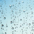 Zachytávat vodu můžete do jímek na dešťovku