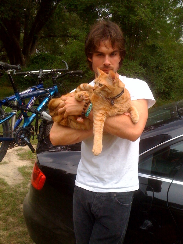 somerhalder